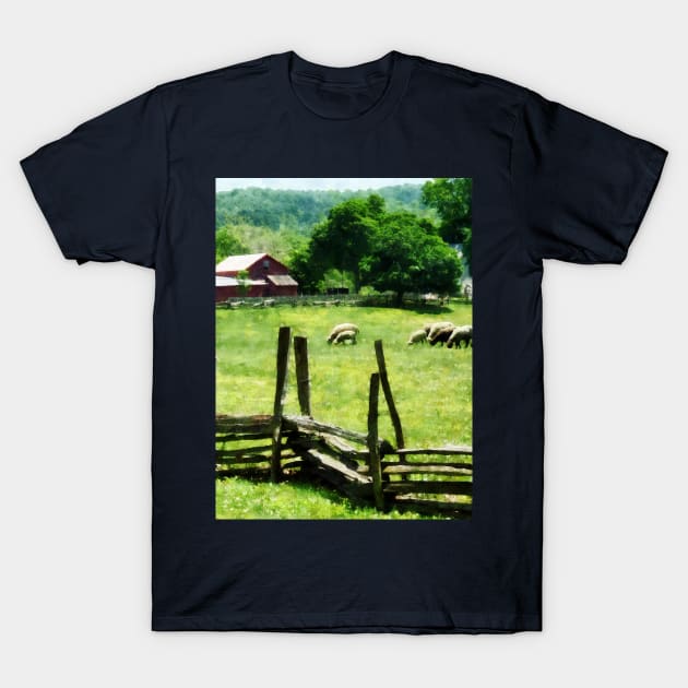 Farms - Sheep Grazing in Pasture T-Shirt by SusanSavad